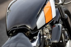 Harley-Maerz-2023-016