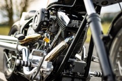Harley-Maerz-2023-022