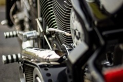 Harley-Maerz-2023-037